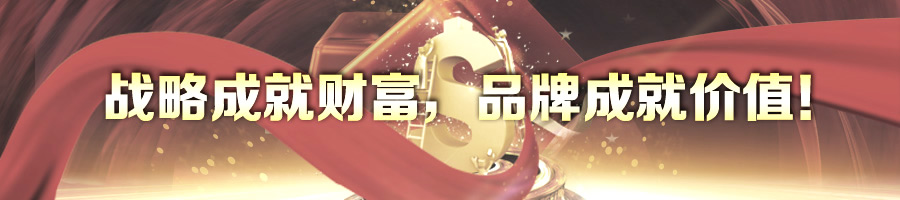 战略成就财富，品牌成就价值！-2