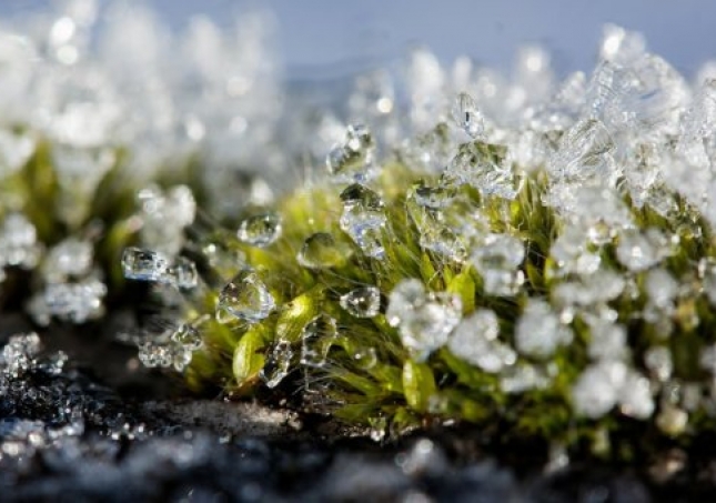 冬春过渡中年人穿鞋闷脚如何是好？什么鞋子保暖又透气？