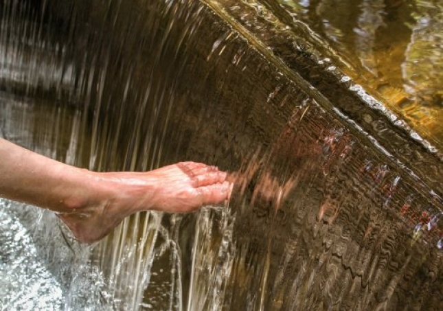 艾叶泡脚的方法-用艾草泡脚时，要记住禁忌哪些，很多人不懂，总是泡错？